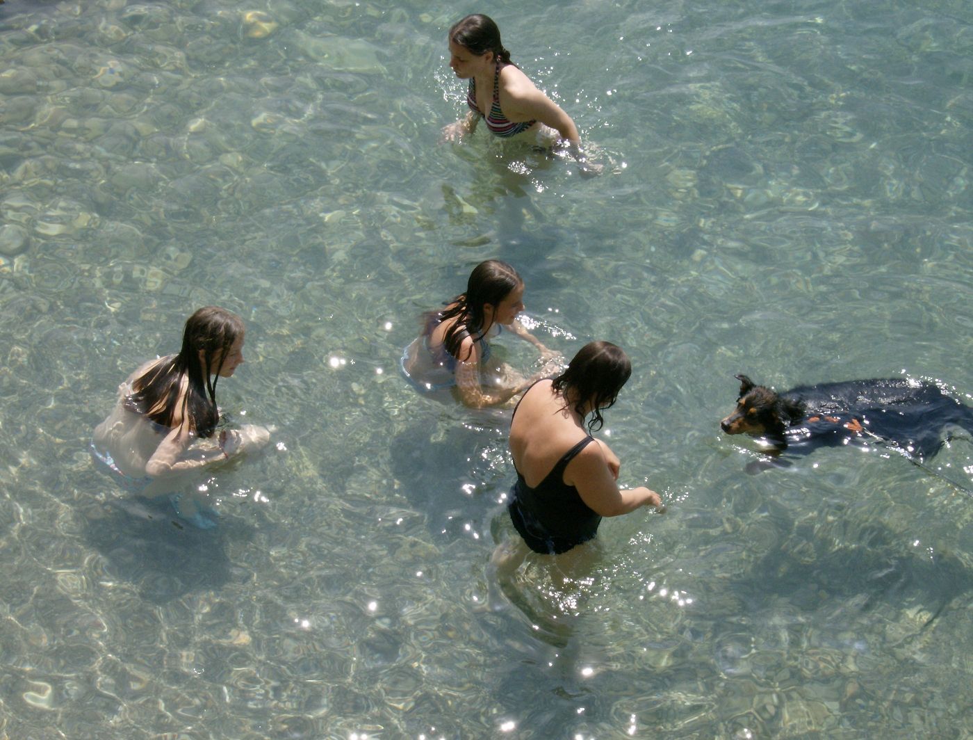 Mobile home Pinus, Starigrad Paklenica